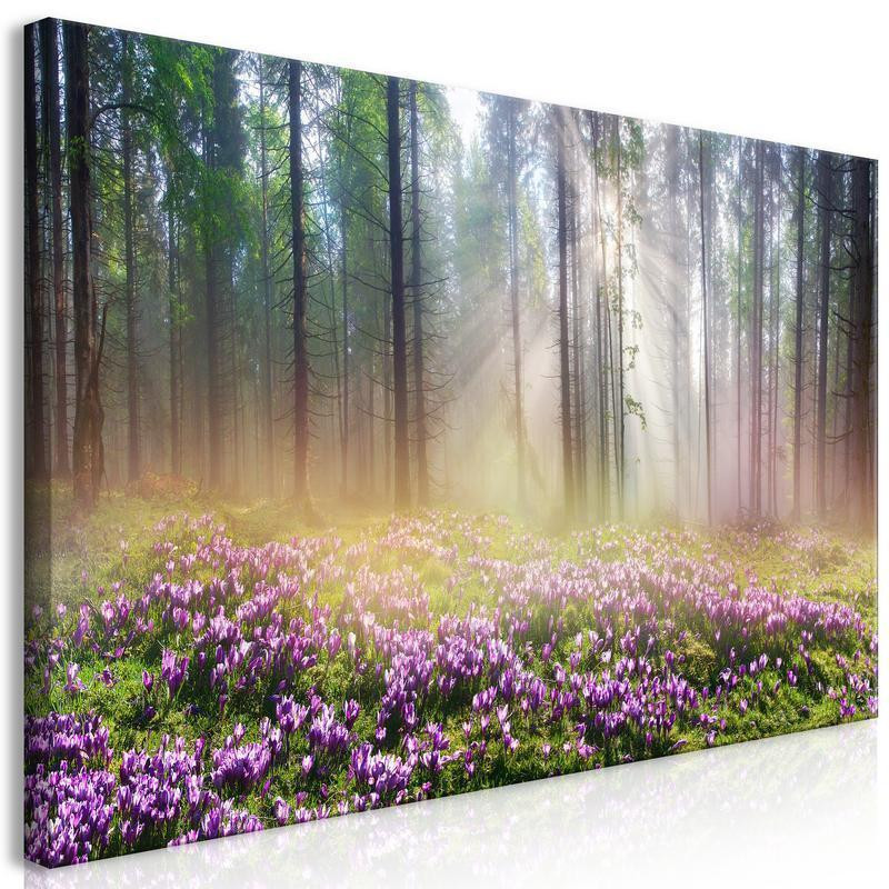 61,90 € Canvas Print - Purple Meadow (1 Part) Wide
