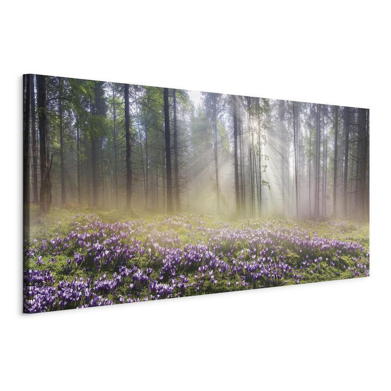 61,90 € Schilderij - Purple Meadow (1 Part) Wide