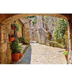 Wall Mural - Provincial alley in Tuscany