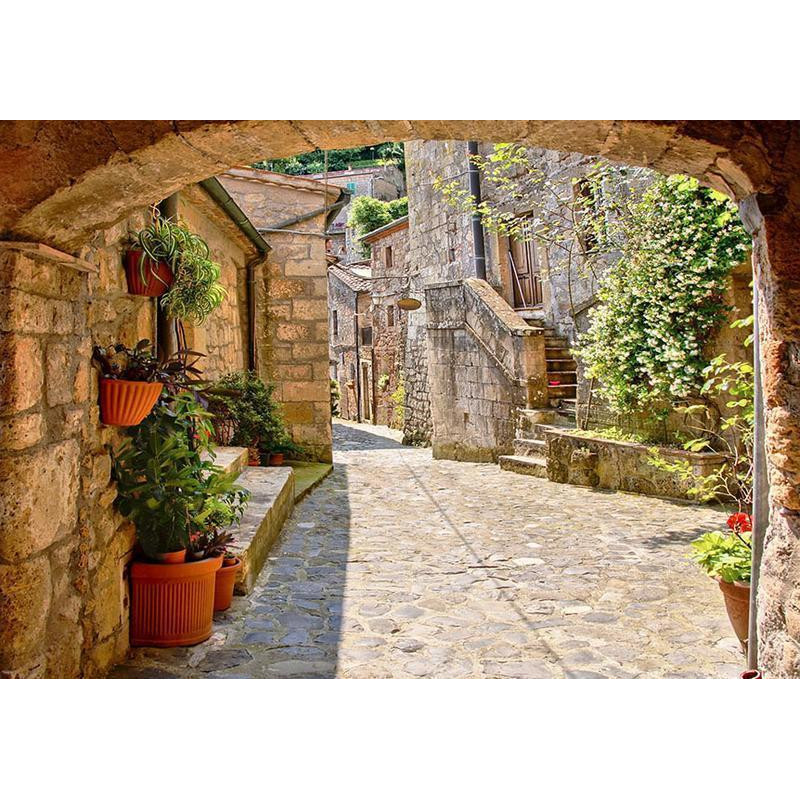 34,00 € Wall Mural - Provincial alley in Tuscany
