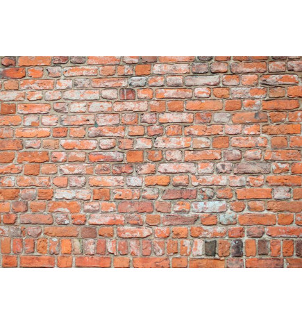 Fototapetas - Loft Wall - Pattern Imitating an Old Red Brick