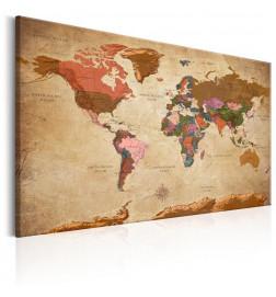 Decorative Pinboard - World Map: Brown Elegance