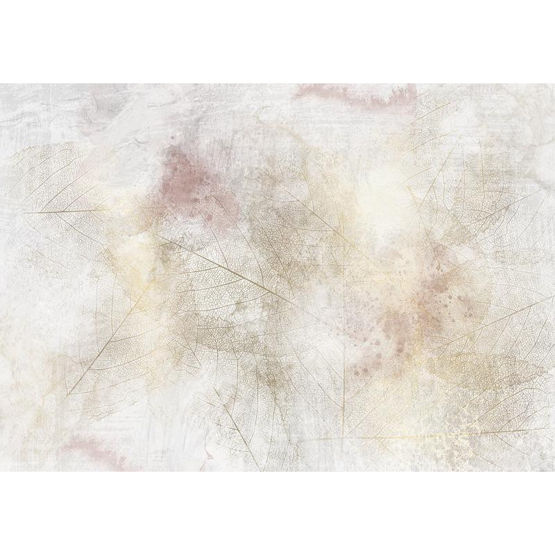34,00 € Fotobehang - Summer memory - abstract background with shadow of dried leaves