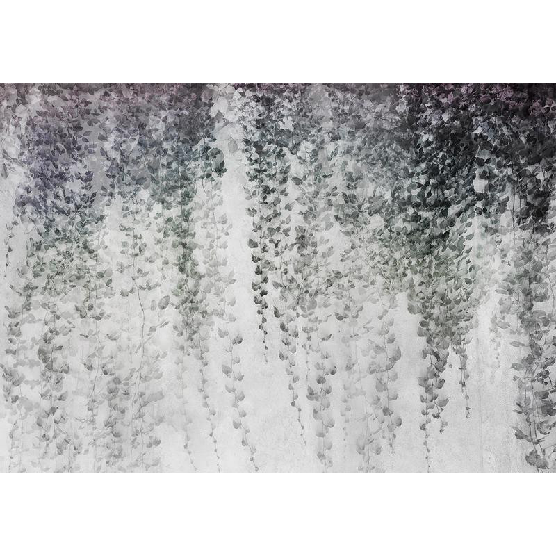 34,00 € Foto tapete - Peaceful oasis - landscape of hanging black leaf vines on a grey background
