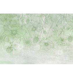 Fototapete - Flowery meadow - nature with field flowers lineart on green background