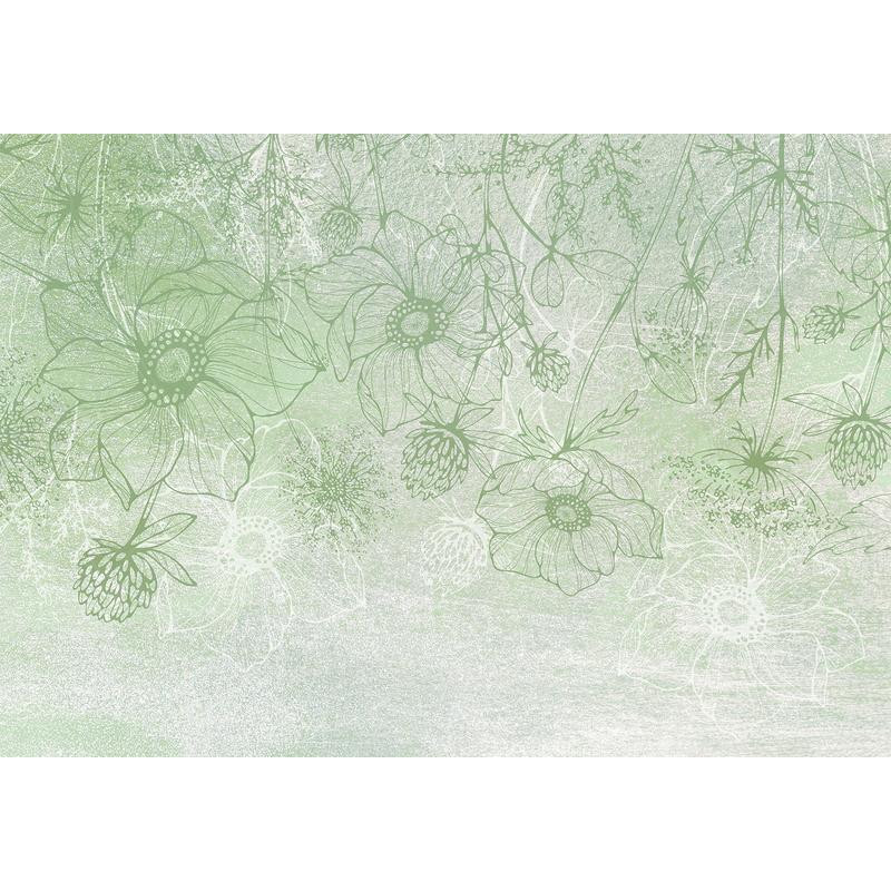 34,00 € Fotomural - Flowery meadow - nature with field flowers lineart on green background