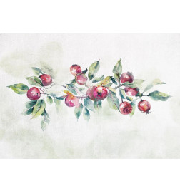 Fototapete - Apple branch - landscape with a plant and red apples on a white background