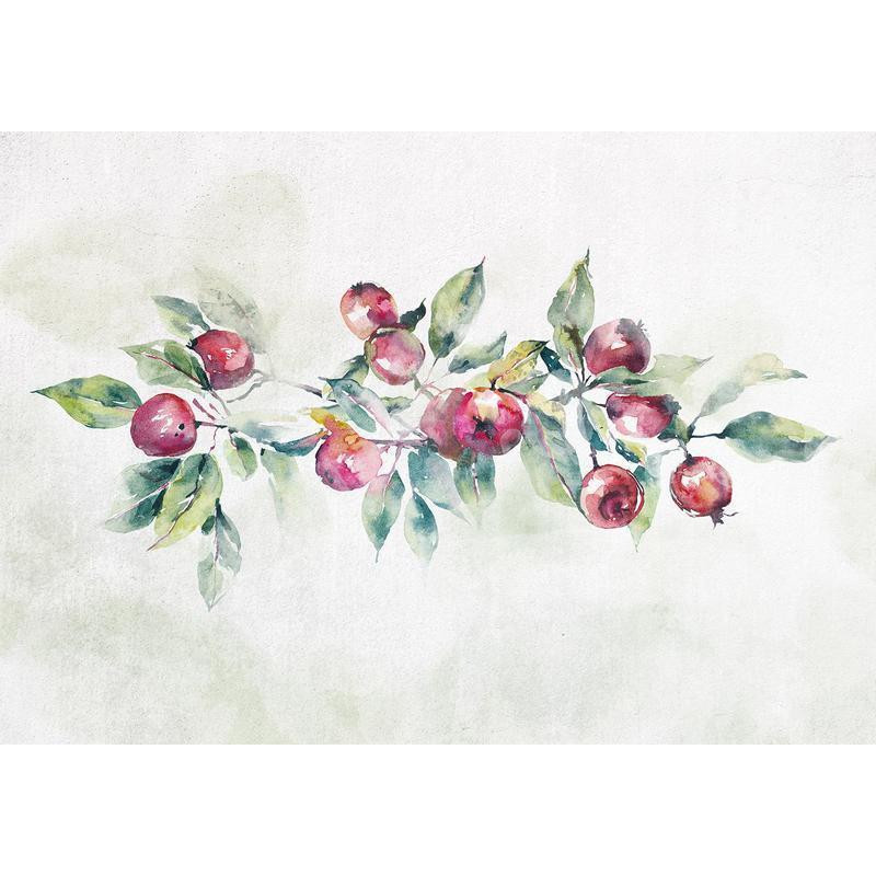 34,00 € Fotobehang - Apple branch - landscape with a plant and red apples on a white background