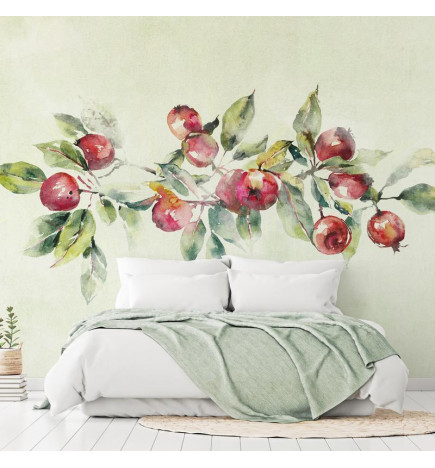 Fototapetti - Apple branch - delicate landscape with a plant and apples on a white background