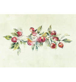 Mural de parede - Apple branch - delicate landscape with a plant and apples on a white background