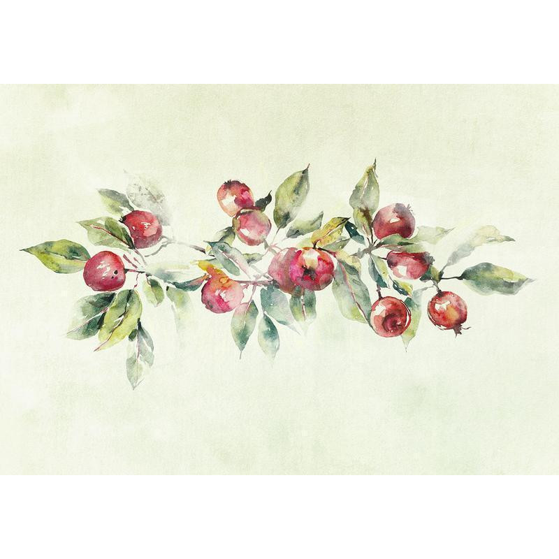 34,00 € Fotobehang - Apple branch - delicate landscape with a plant and apples on a white background