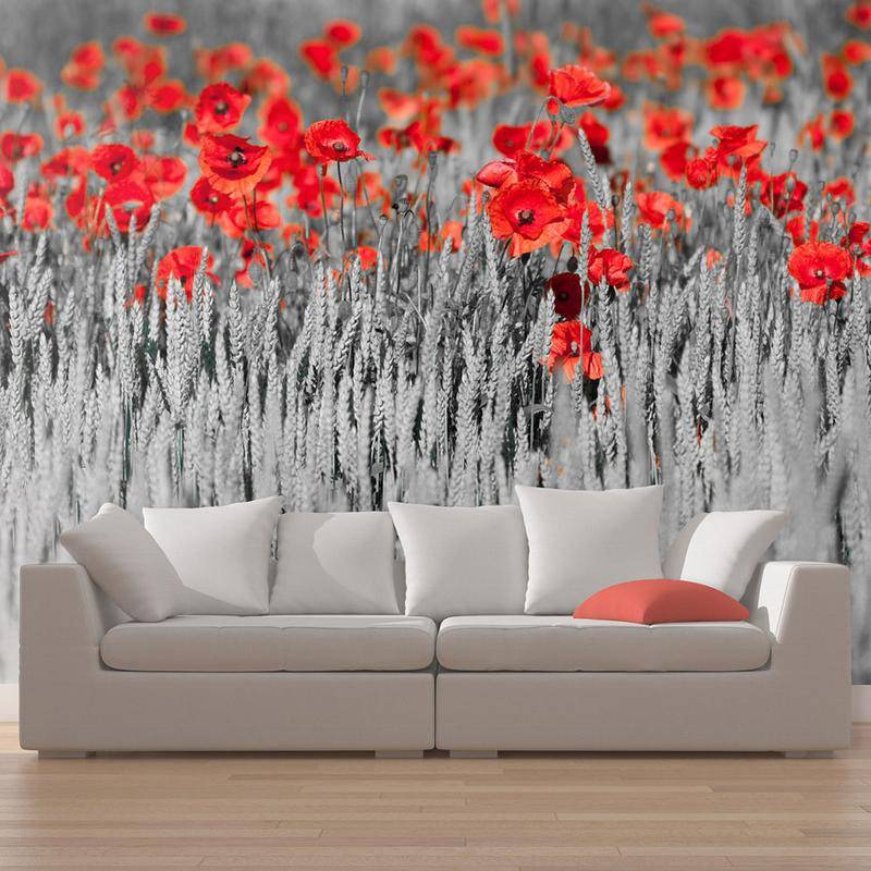 96,00 € Wallpaper - Red poppies on black and white background