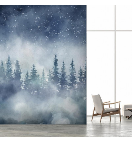 34,00 €Mural de parede - Night landscape - landscape of a misty forest at night with a starry sky