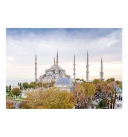 Fotomurale con Istanbul - in turchia - Arredalacasa