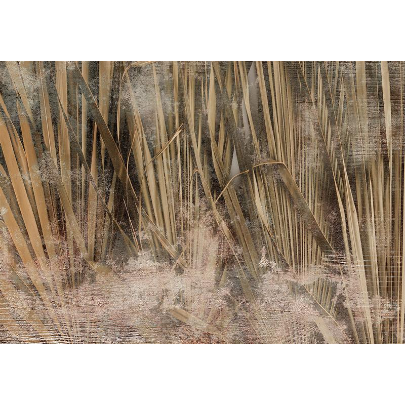 34,00 € Fotomural - Dry leaves - landscape of tall grasses in boho style with paint patterns
