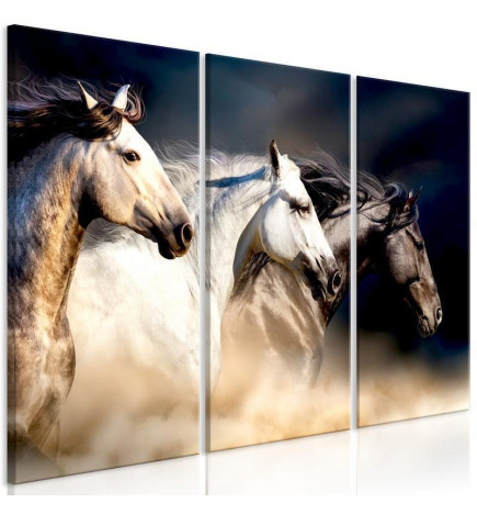Canvas Print - Sons of the Wind (3 Parts)