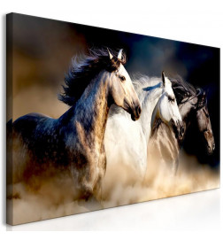 Canvas Print - Sons of the Wind (1 Part) Wide