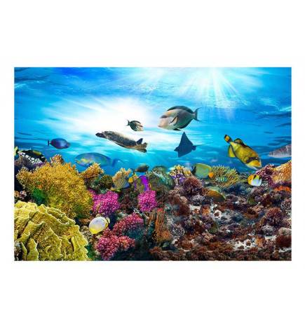 Wallpaper - Coral reef