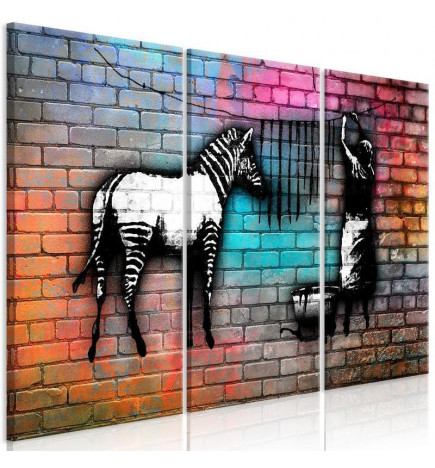 Paveikslas - Washing Zebra - Colourful Brick (3 Parts)