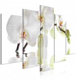 Schilderij - Wonderful Orchid (5 Parts) Wide