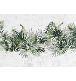 Fotomural - Jungle and green plume - large tropical leaves on a white background