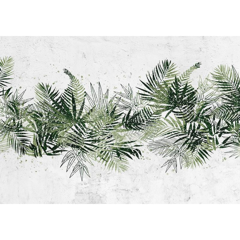34,00 € Wall Mural - Jungle and green plume - large tropical leaves on a white background