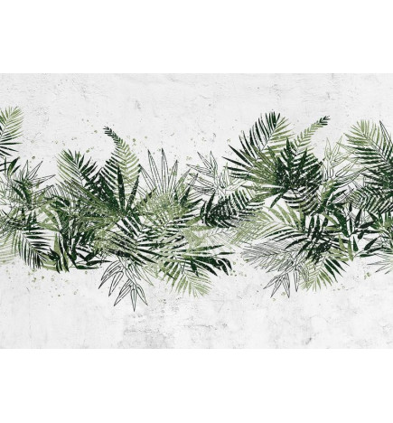 Fototapete - Jungle and green plume - large tropical leaves on a white background