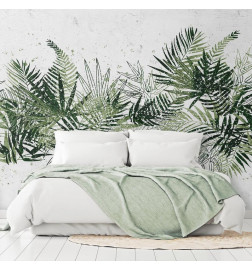 Fototapetti - Jungle and green plume - large tropical leaves on a white background