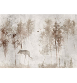 Fototapeta - Among the trees - landscape in grey tones in fog in a clearing with birds