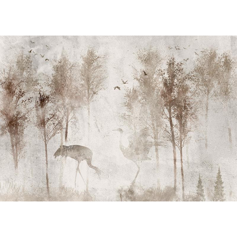 34,00 € Foto tapete - Among the trees - landscape in grey tones in fog in a clearing with birds