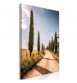 Canvas Print - Italian cypresses (1 Part) Vertical