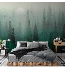 Mural de parede - Birds eye perspective - landscape of a green forest with trees in the mist