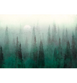 Wall Mural - Birds eye perspective - landscape of a green forest with trees in the mist