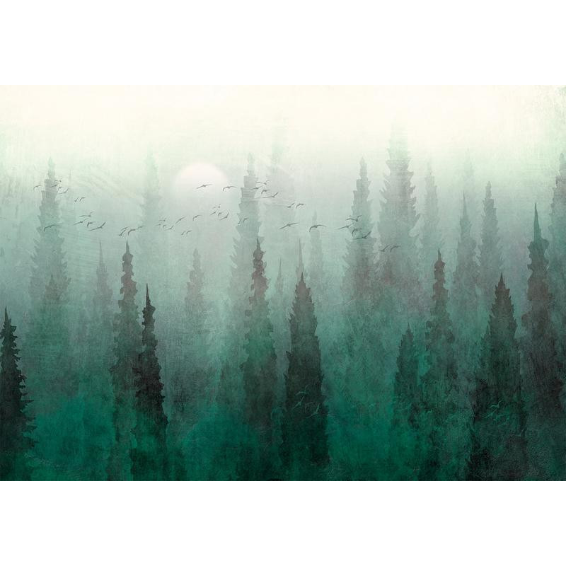 34,00 € Fotomural - Birds eye perspective - landscape of a green forest with trees in the mist