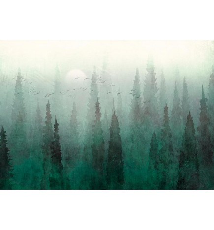 Fototapeet - Birds eye perspective - landscape of a green forest with trees in the mist