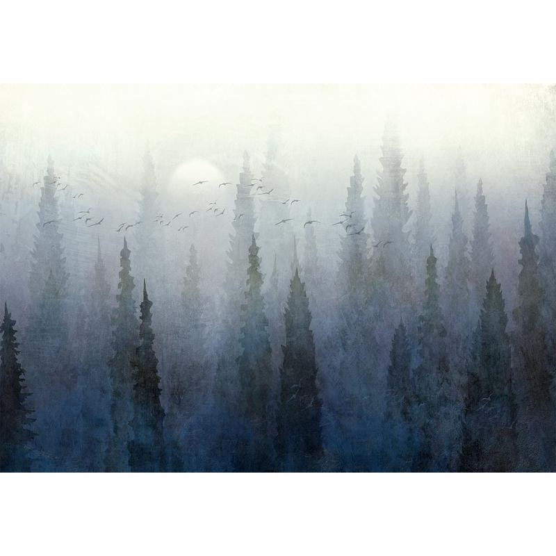 34,00 € Wall Mural - Flight Over the Forest - Second Variant