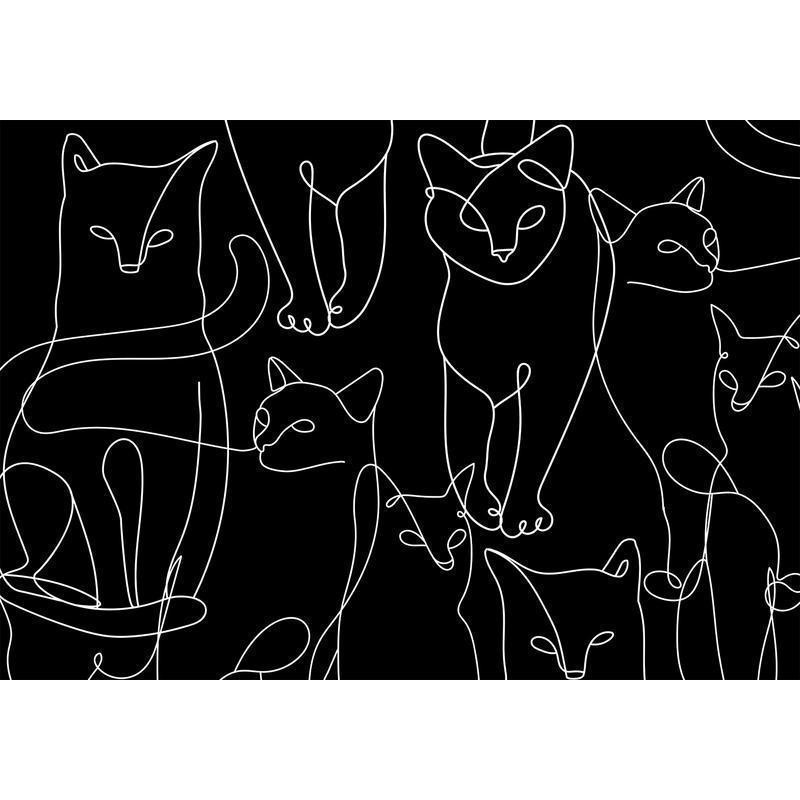 34,00 € Wall Mural - Cat Habits - First Variant