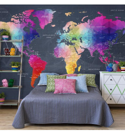 Wall Mural - Coloured world map - geometric outline with inscriptions in English
