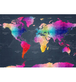 Fotomural - Coloured world map - geometric outline with inscriptions in English