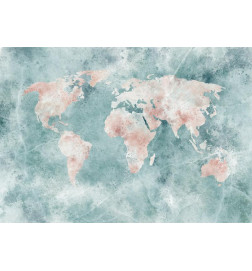 34,00 € Wall Mural - Delicate Map