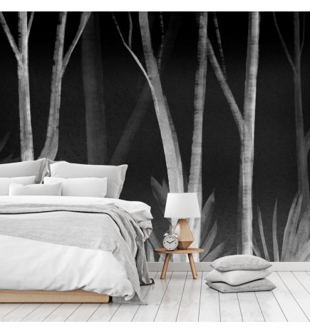 34,00 € Fotomural - Noise of the forest at night - minimalist landscape of white trees on a black background