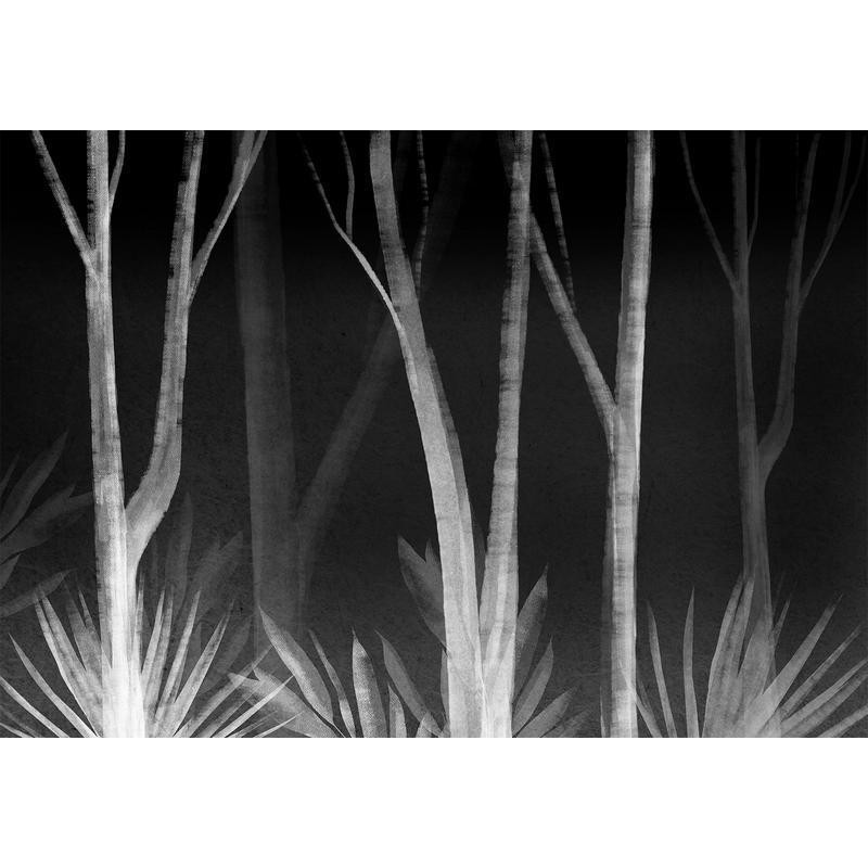 34,00 € Fotobehang - Noise of the forest at night - minimalist landscape of white trees on a black background