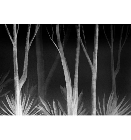 Mural de parede - Noise of the forest at night - minimalist landscape of white trees on a black background