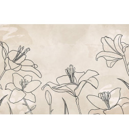 Fototapeet - Sketch of nature - minimalist lineart with lily flowers on a beige background