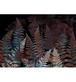 Fototapete - Ferns in the Woods - Third Variant