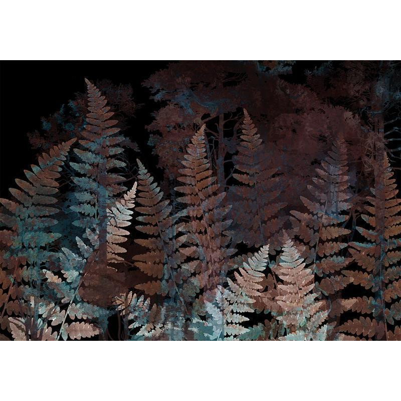 34,00 € Fototapeta - Ferns in the Woods - Third Variant