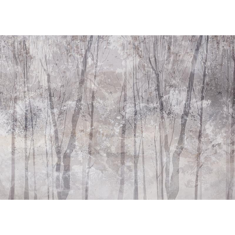 34,00 € Fotobehang - Eternal forest - landscape with winter landscape in cool colours