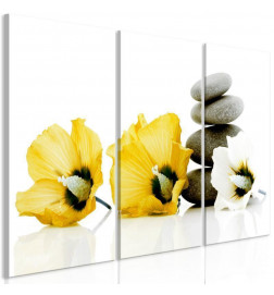 Tableau - Calm Mallow (3 Parts) Yellow