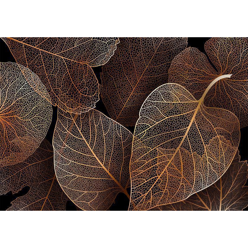 34,00 €Fotomurale con delle enormi foglie e lo sfondo scuro