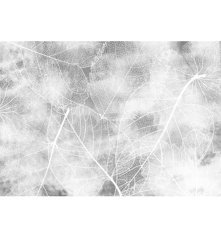 Fotomurale molrto astratto grigio con lo sfondo bianco